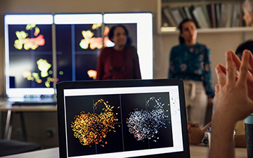 group discussion amongst collegues